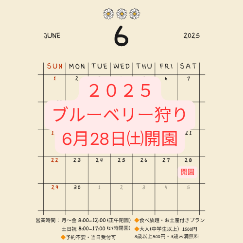 ”ブルーベリー狩り”6月28日㈯開園